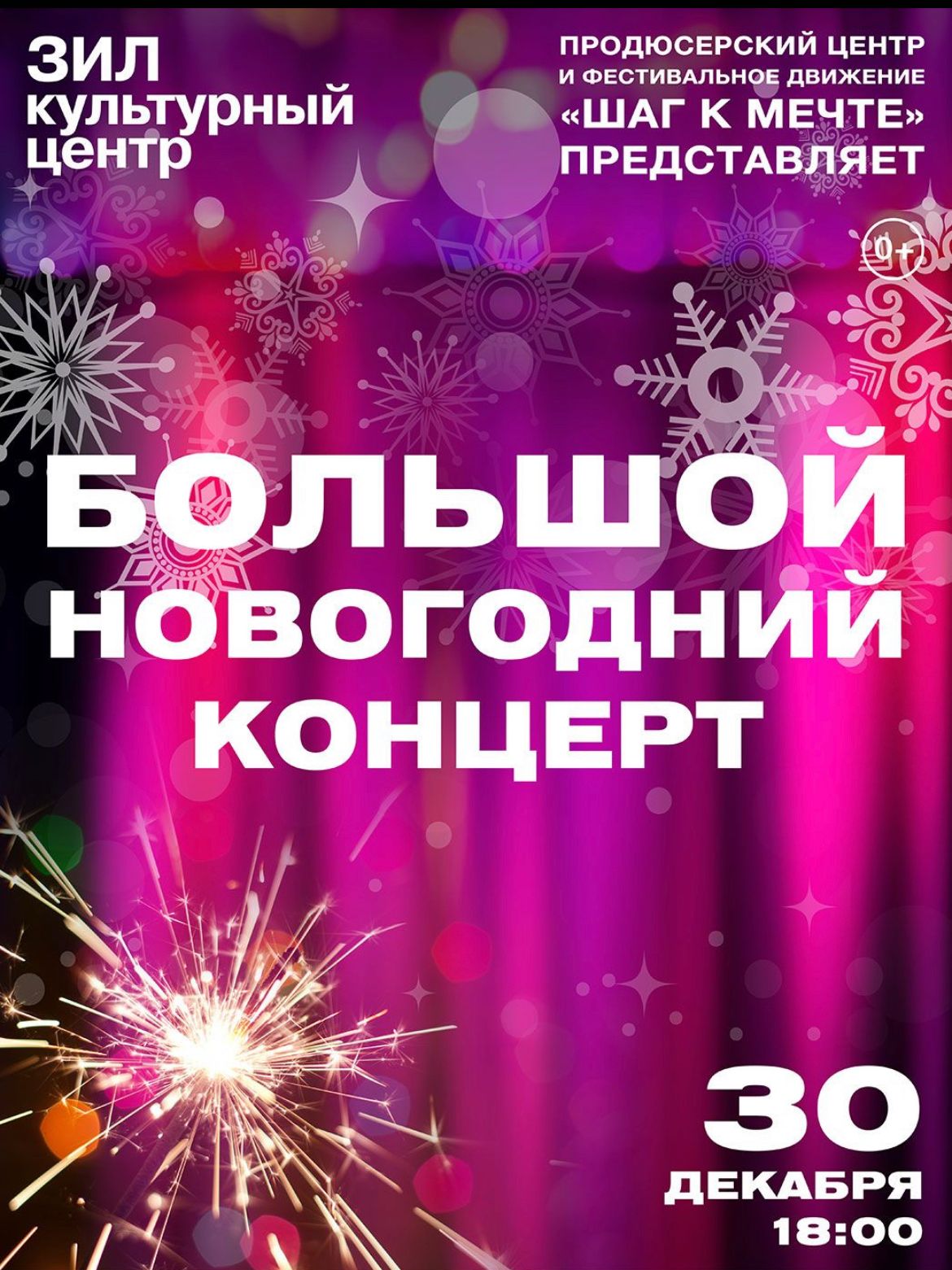 Большой Новогодний концерт «Шаг к мечте»